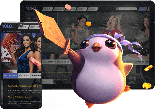 Yolo247 India Bonuses 2025